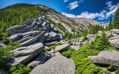 Understanding Foreground in Photography Basics